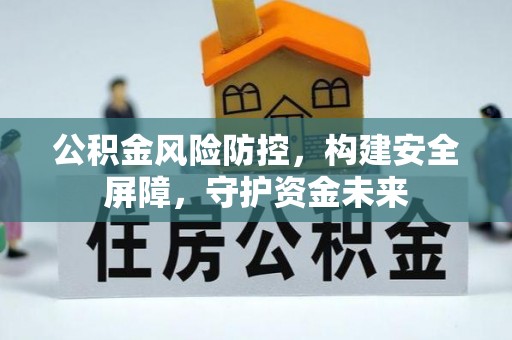 阎良公积金风险防控，构建安全屏障，守护资金未来