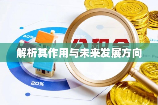 阎良解析其作用与未来发展方向