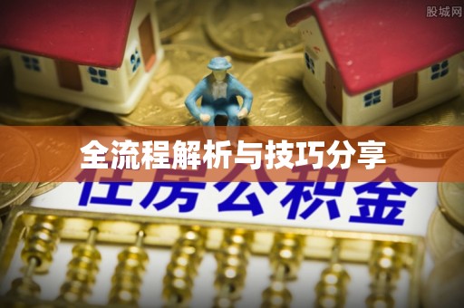 阎良全流程解析与技巧分享