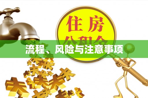 阎良流程、风险与注意事项